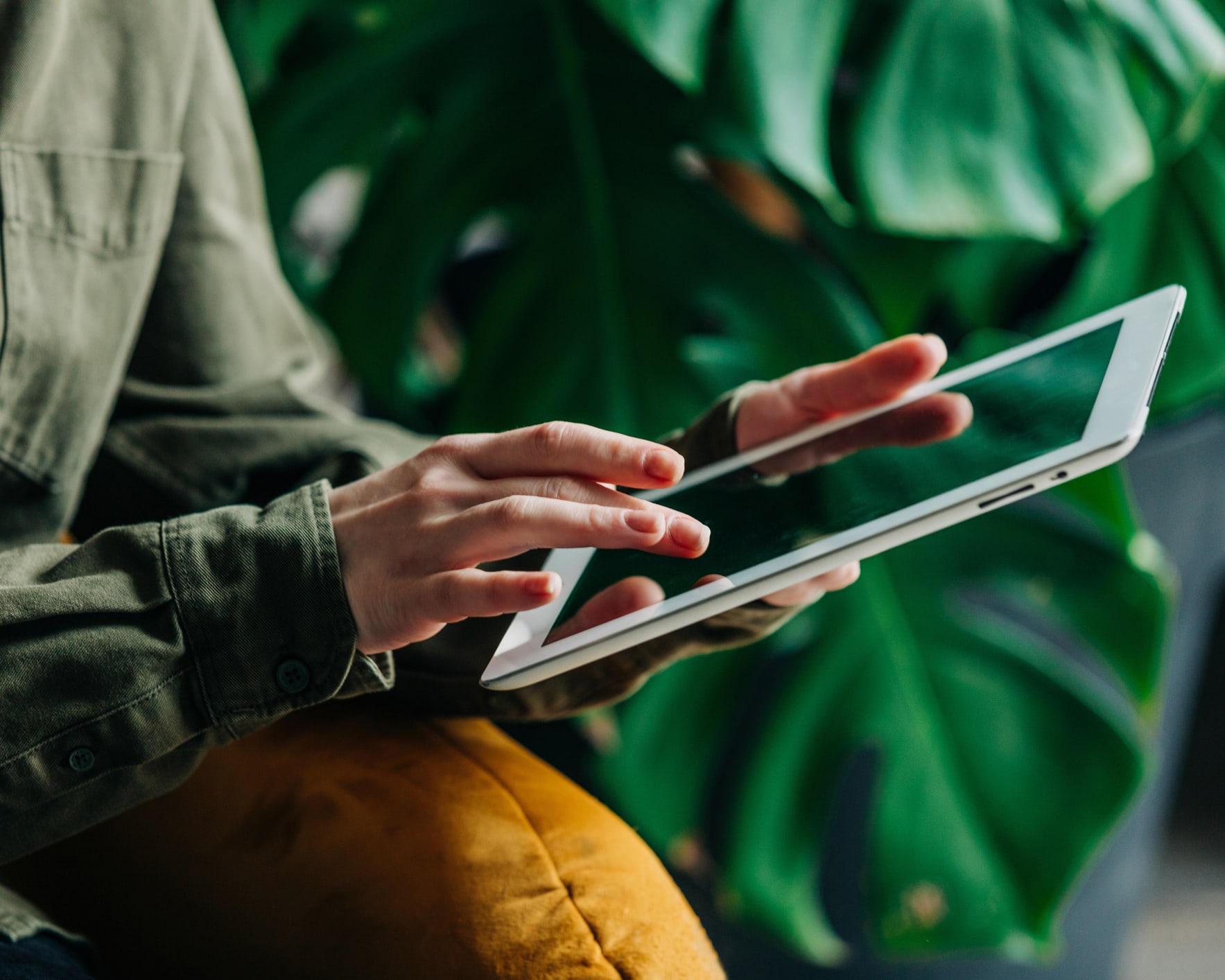 Birinin arka planda bir bitki olduğu bir tablet kullandığı yakın plan