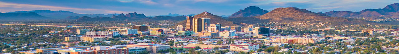 Arizona Üniversitesi